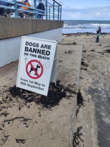 Beach sign